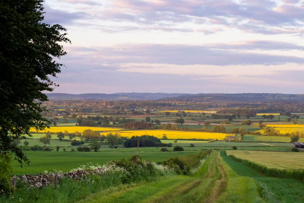 South Cotswolds converted
