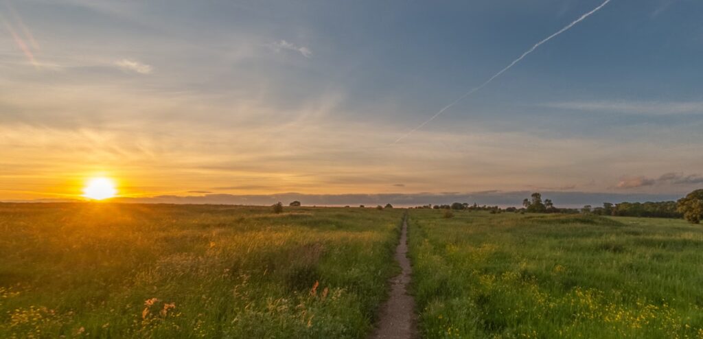 Web Daventry 1 converted