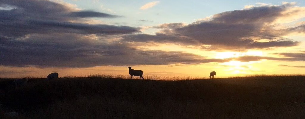 Web Pic 3 converted e1750237208500