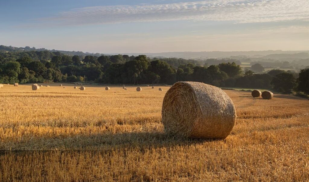 Web Round Bales 1 converted