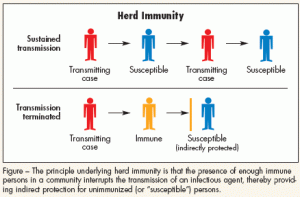 Herd immunity 300x197 1